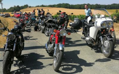 LA RONDE DES FEDIES